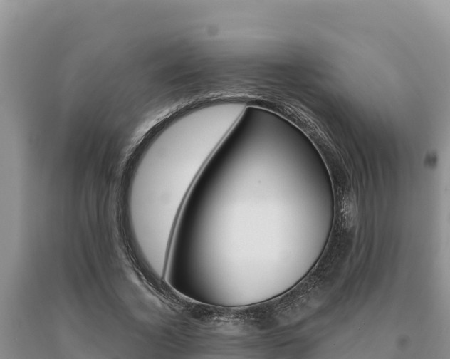 X0000091080732200708061045