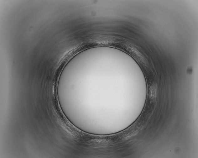 X0000091080733200708061045