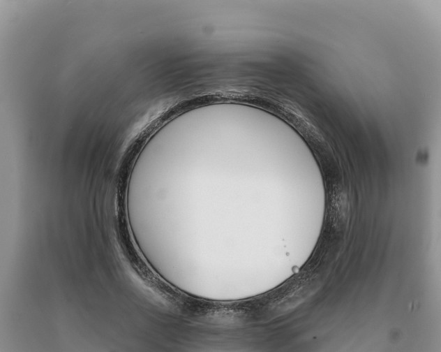 X0000091080734200708061045