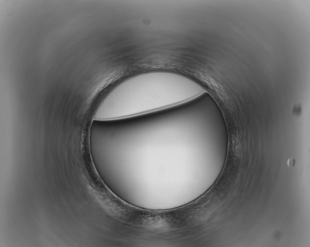 X0000091080735200708061045