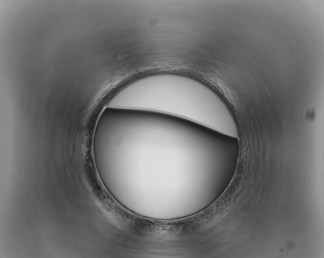 X0000091080736200708061045