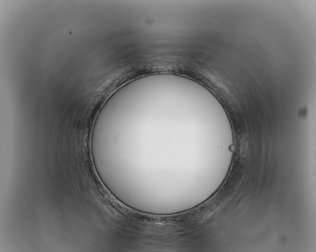 X0000091080737200708061045