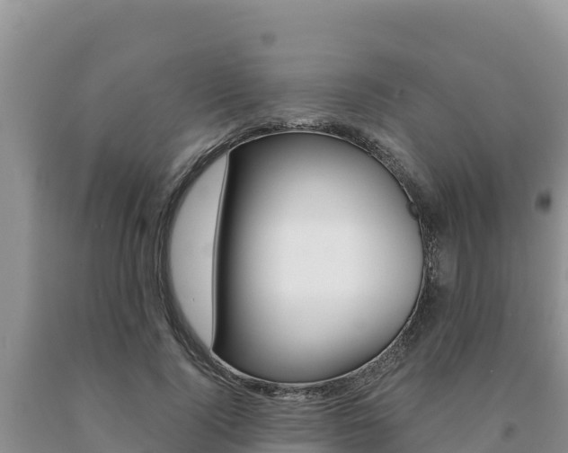 X0000091080740200708061045
