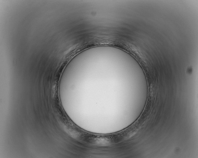 X0000091080741200708061045