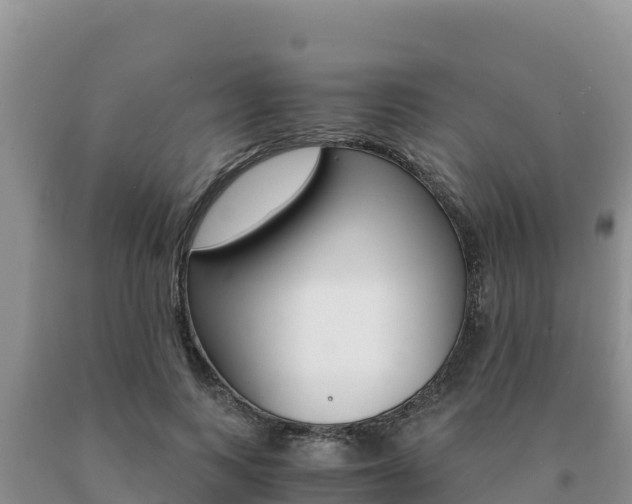 X0000091080743200708061045
