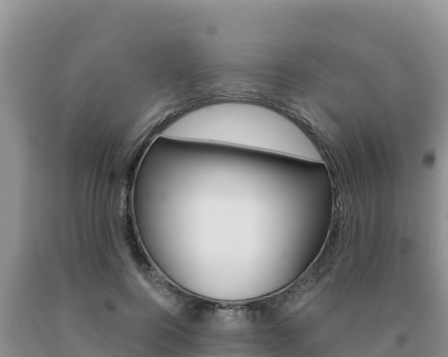 X0000091080744200708061045