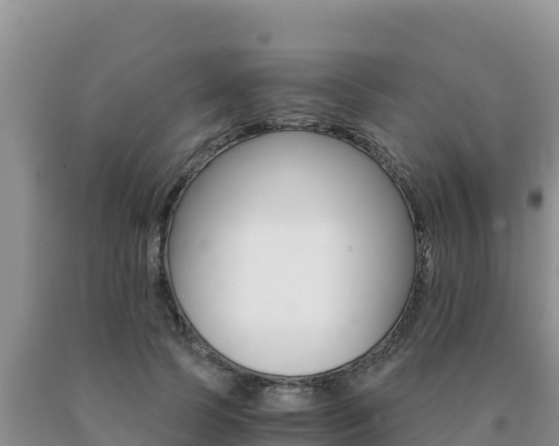 X0000091080745200708061045