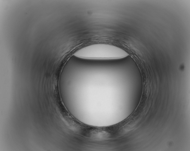 X0000091080747200708061045