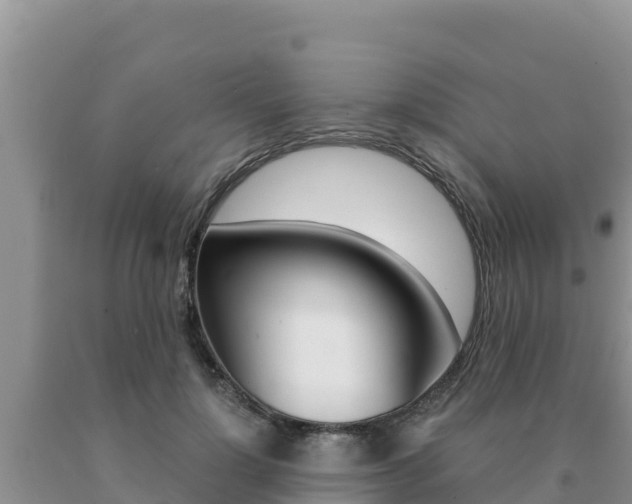 X0000091080748200708061045