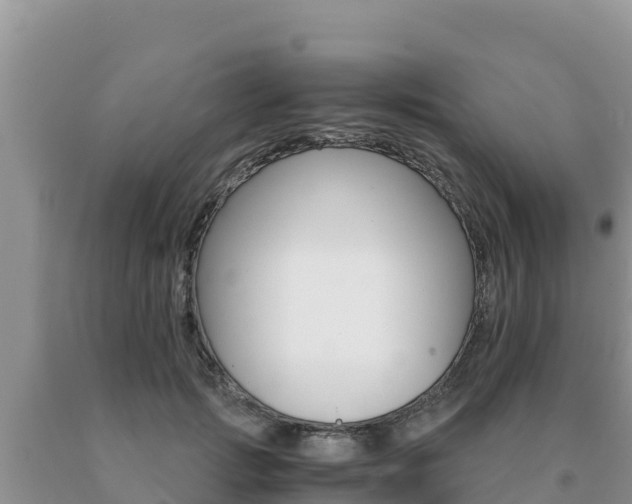X0000091080749200708061045