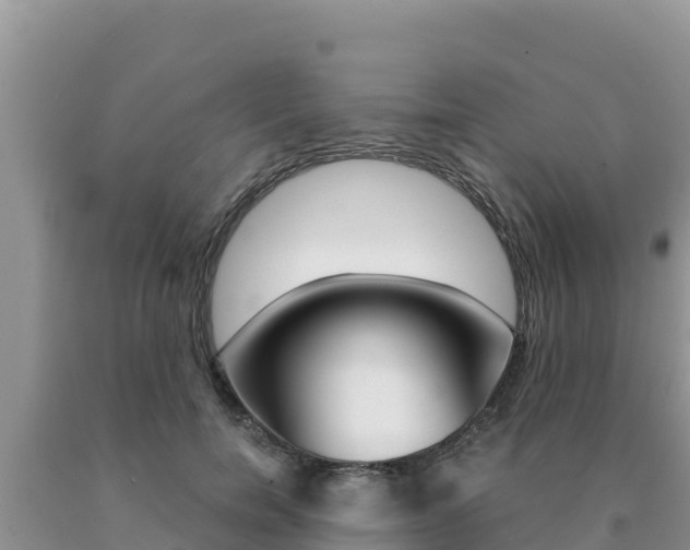 X0000091080750200708061045