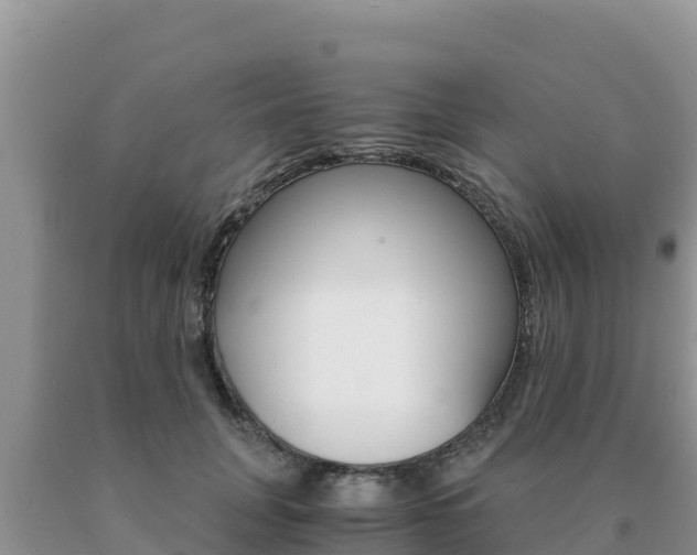 X0000091080751200708061045