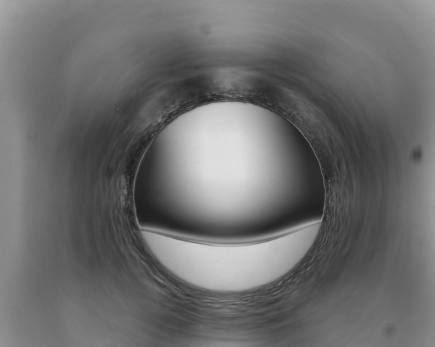 X0000091080752200708061045