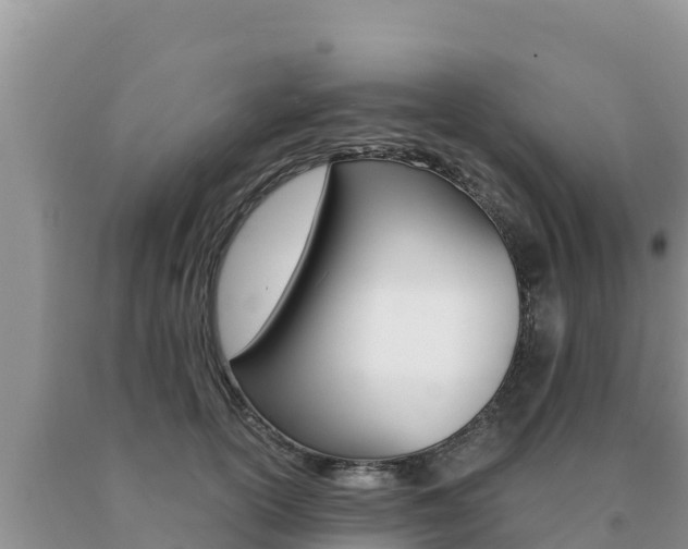 X0000091080754200708061045