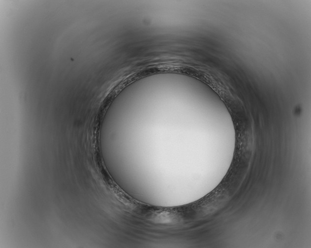 X0000091080755200708061045