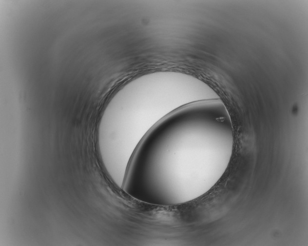 X0000091080756200708061045