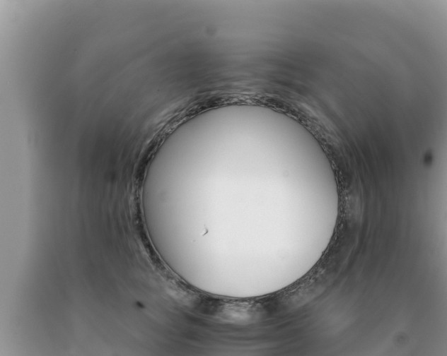 X0000091080757200708061045
