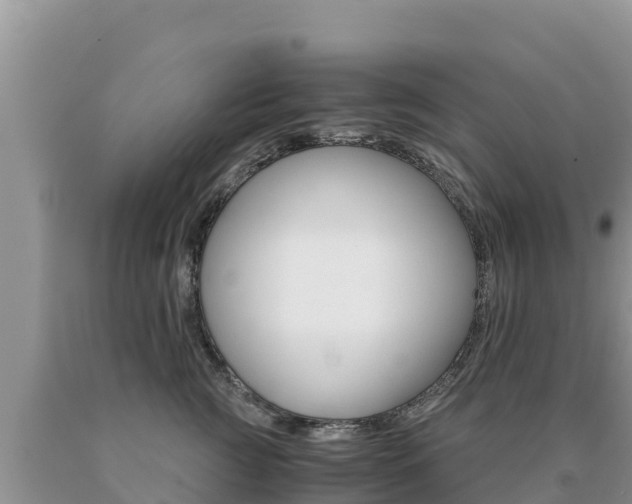 X0000091080761200708061045
