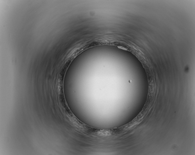 X0000091080762200708061045