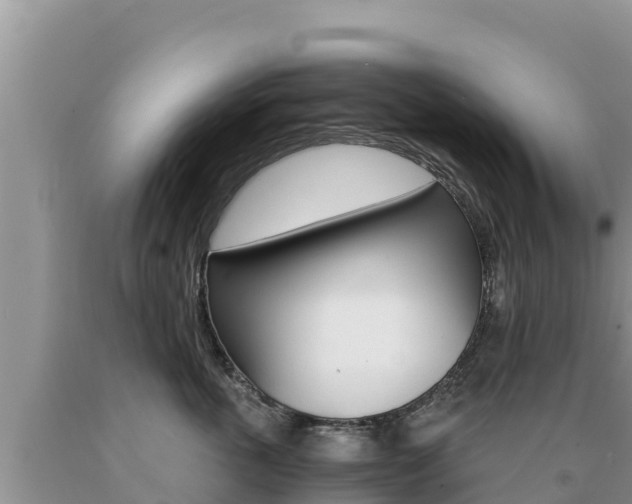 X0000091080763200708061045