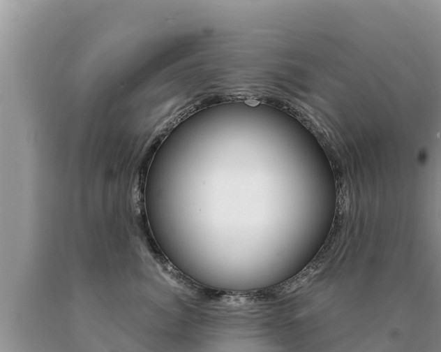 X0000091080764200708061045