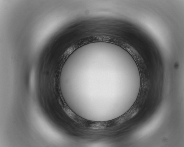 X0000091080765200708061045