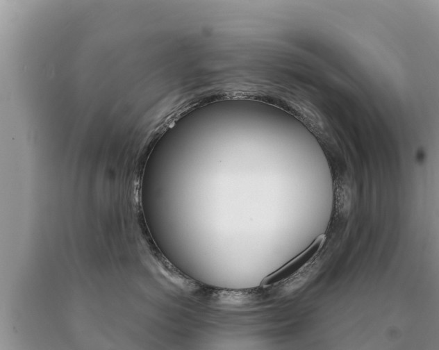 X0000091080766200708061045