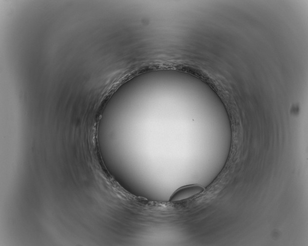 X0000091080768200708061045