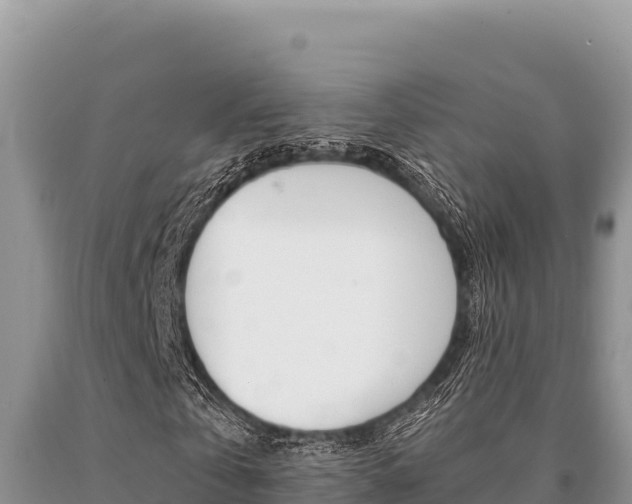 X0000091080769200708061045