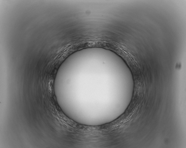 X0000091080770200708061045