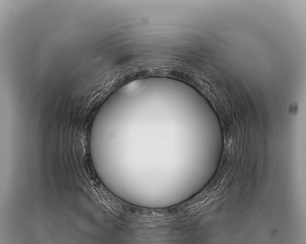 X0000091080772200708061045