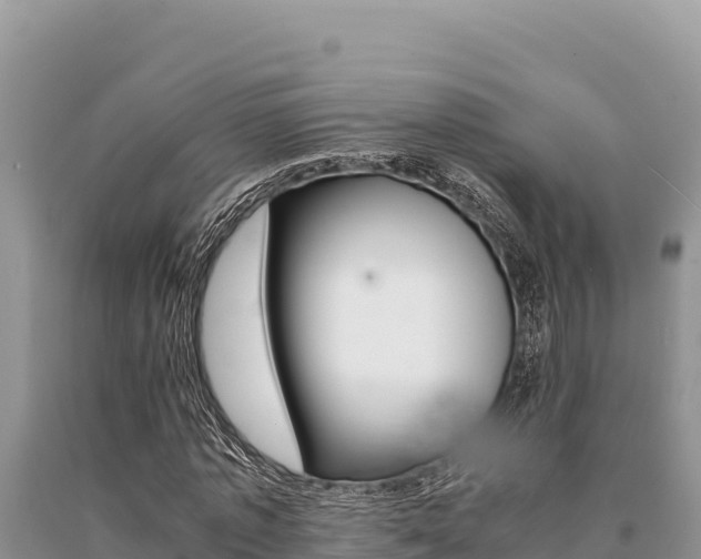 X0000091080773200708061045