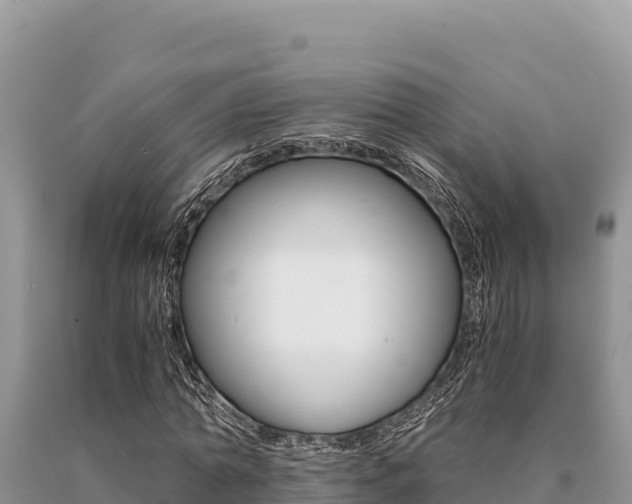 X0000091080774200708061045