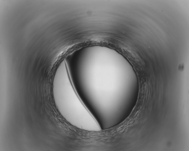 X0000091080776200708061045