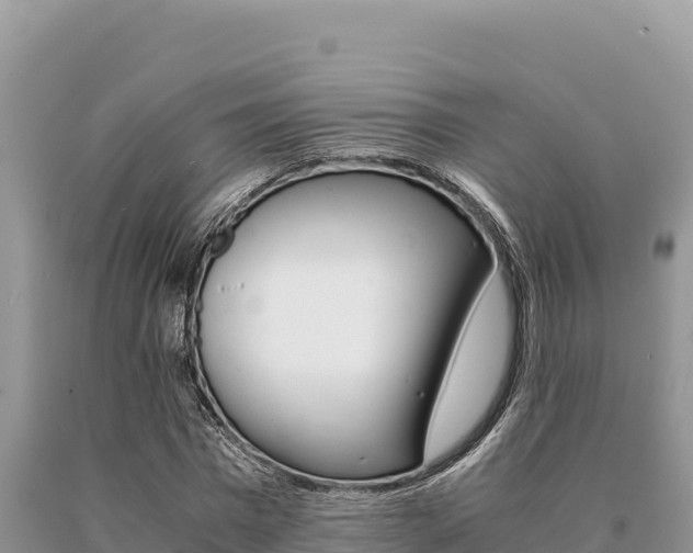 X0000091080777200708061045