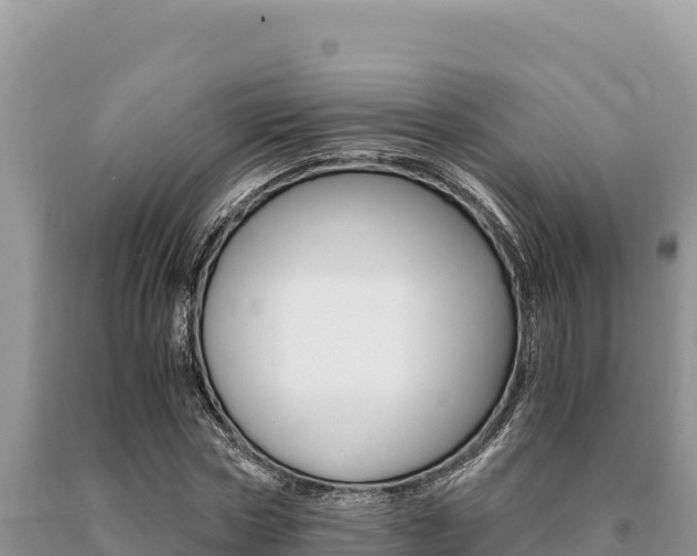 X0000091080778200708061044