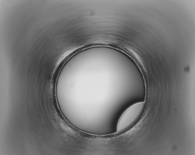 X0000091080779200708061044