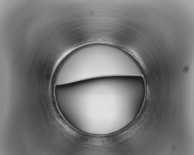 X0000091080780200708061044