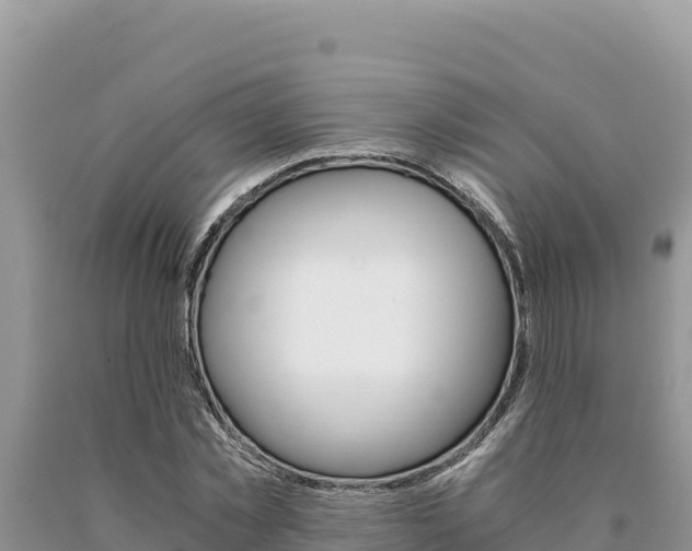 X0000091080781200708061044