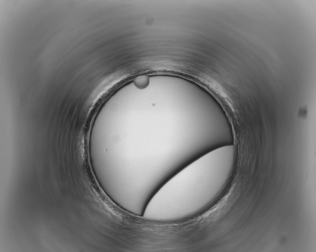 X0000091080782200708061044