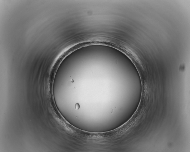 X0000091080784200708061044