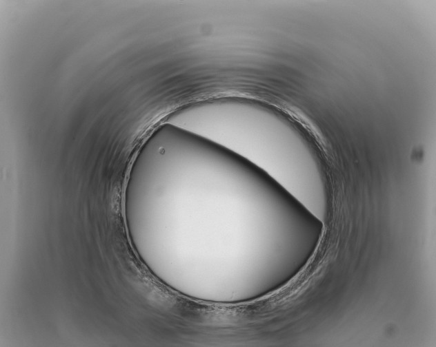 X0000091080785200708061044