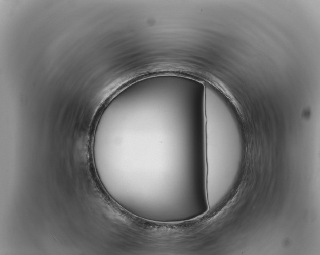 X0000091080786200708061044