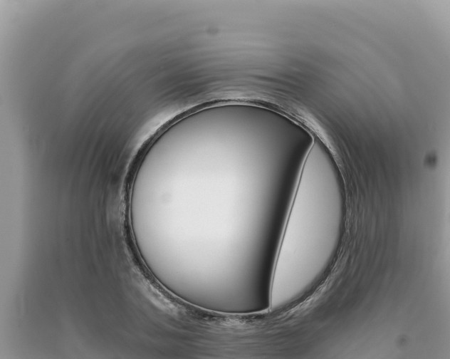 X0000091080787200708061044