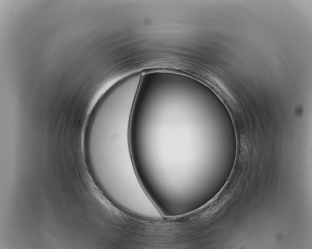 X0000091080788200708061044