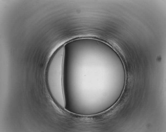 X0000091080789200708061044