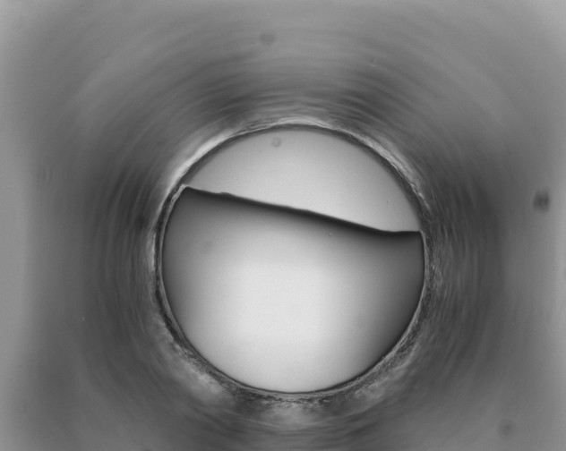 X0000091080790200708061044