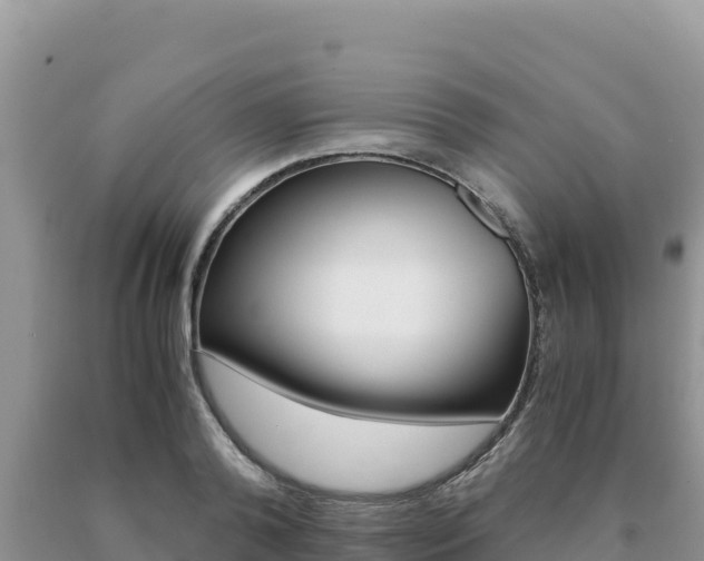 X0000091080792200708061044