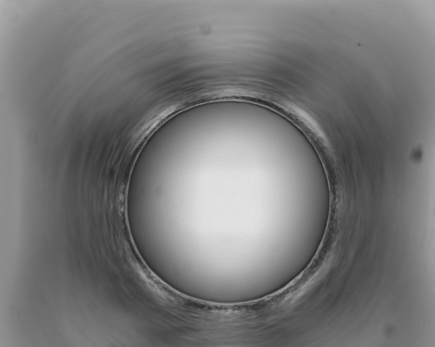 X0000091080793200708061044