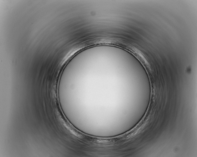 X0000091080794200708061044